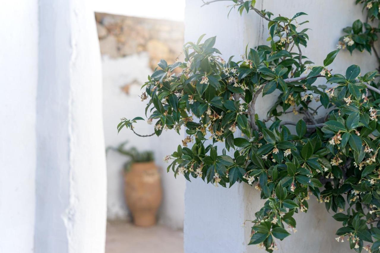 Traditional Cretan House Lithostrati Karidi Village Exteriör bild