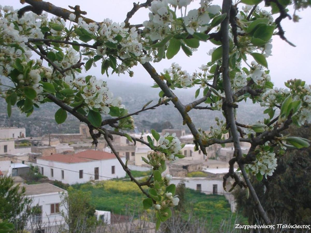 Traditional Cretan House Lithostrati Karidi Village Exteriör bild